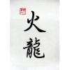Chinese Fire Dragon Symbols Calligraphy Painting