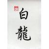 Chinese White Dragon Calligraphy Symbol Painting