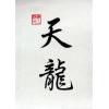 Chinese Celestial Dragon Art Calligraphy Symbols Painting