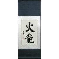 Chinese Fire Dragon Art Calligraphy Scroll Painting